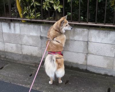 �����͂悭�L������񂾂�