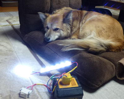 �v���d�̂��߂ɖ�������������