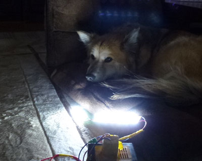 ��x����d�����\�s���K�ŏI�����