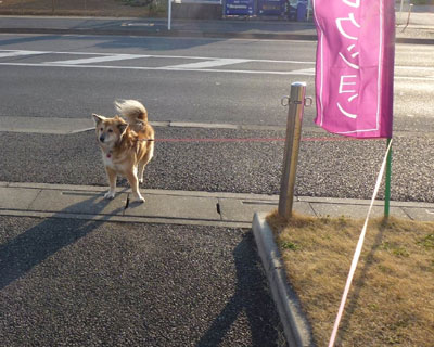 �܂��Ȃɂ��ɕ߂܂���