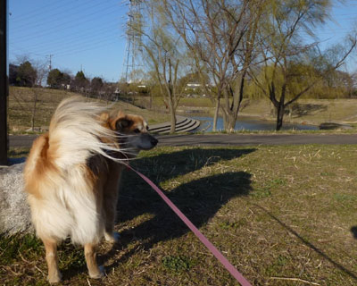 �t�͕���������