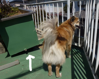 �n�k�Ńv�����^�[�̍����������ꂽ