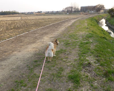 �@�ʍH�����n�k�Œx�ꂽ����������