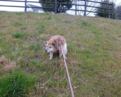 �Ȃ����͂��K���������Ɍ����Ă���̂�