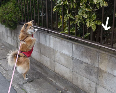 ������������