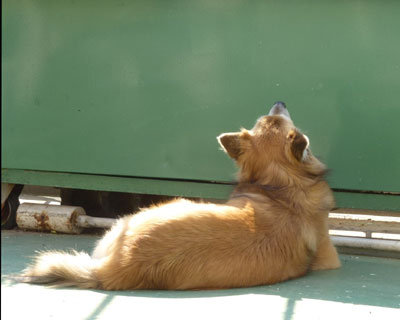 ���������芦�������荢����