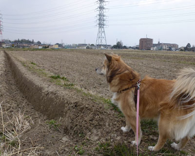 ���ɍ��N�����̐E�l�Z��