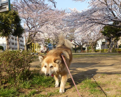 �����炢��