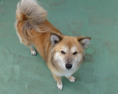 �������ē{��