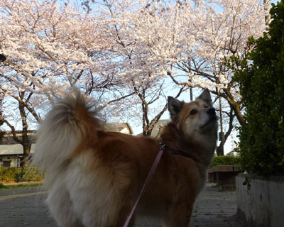 �����������������ĂȂ��Ȃ��H