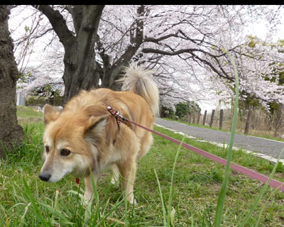 �����������Ȃ��痣��Ă���