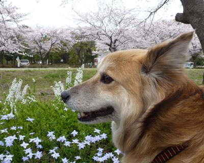 �͂Ȃ�����Ƃ͂ȂÂ܂�Ƃ͂�Â���͎��Ă��ˁH