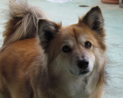 ����Ă��Ă��̊�����Ă��狎���čs���Ӗ����킩��Ȃ�