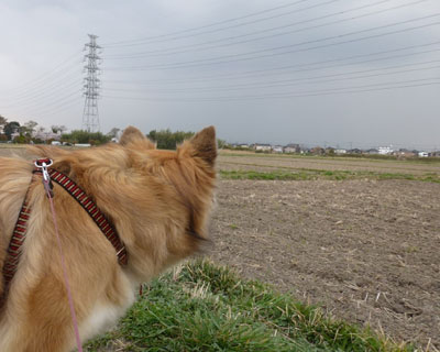 ���o���_