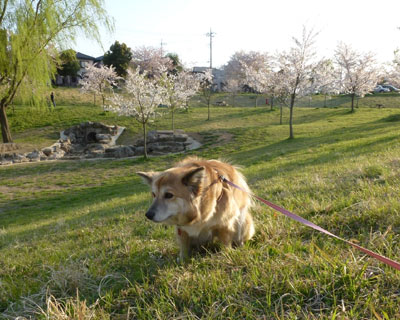 ���N�̍����I�������