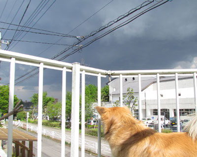 ���o���_���Ă��