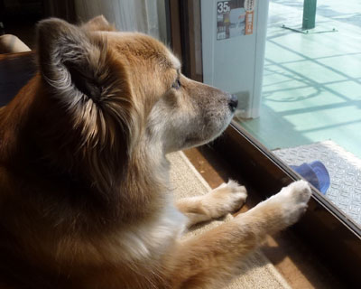 �J���Ăق����Ƒi����E��