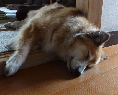 �g�����Ȃ�Ɠ���������