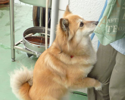 ��������P��