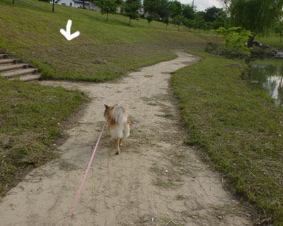 �җ�[���̂���