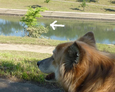 ���̉J�͂��킩������