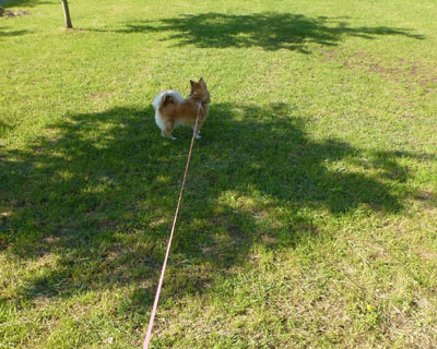 �����������A�ŗ����~�܂�