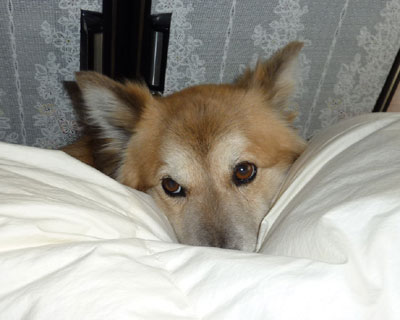 �@�����Ďd�Ԃ�