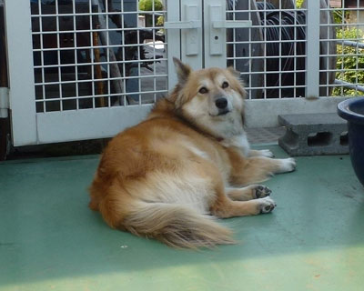 �����Ɠ��A�ɐQ��