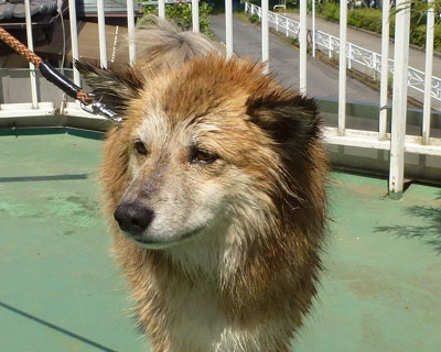 �����������Ɛ���Ă��܂�