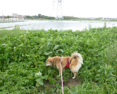 ������������W�����O������