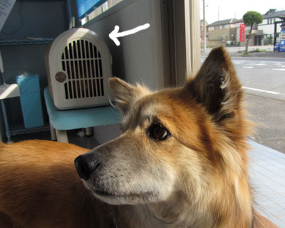 �����A�肽���Ă˂��ɋC�Â��Ȃ�����