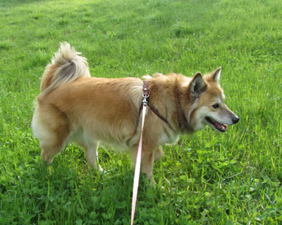 �܂��Ȃ�ł��Ȃ��ʐ^���B��ꂽ