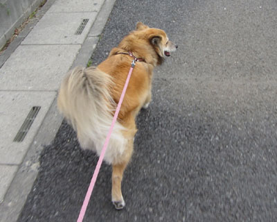 �J�����̐F���ς�����񂶂�Ȃ��H