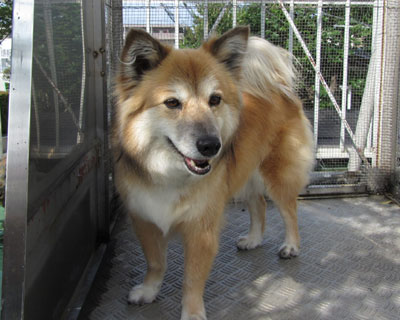 �����SX30�ƌ��������Ȃ�