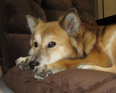 �Ԍ��x�������͍̂D���