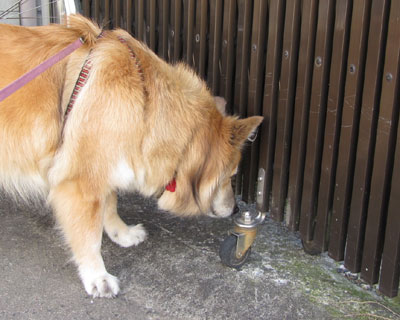 ����̂��΂��������ʂ�Ǝv���Ă�H