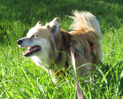 ���̔���т͋���