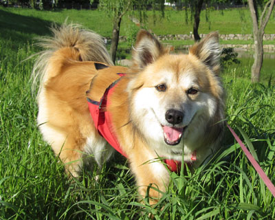 ��������e�͈�