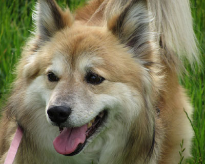 �߂Â��߂���Ɩ��f�炵����