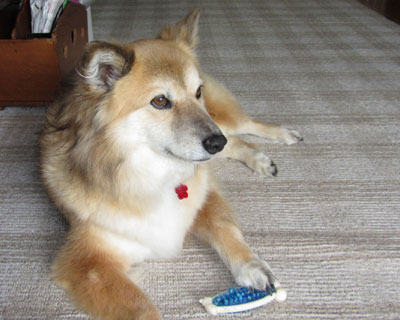 �����Ȃ��Ă�