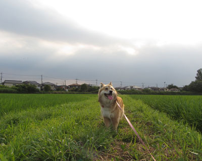 �܂����_���o�Ă�