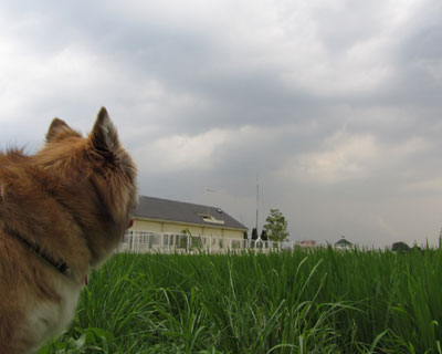 ���ɋْ���