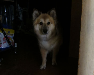 �p������������