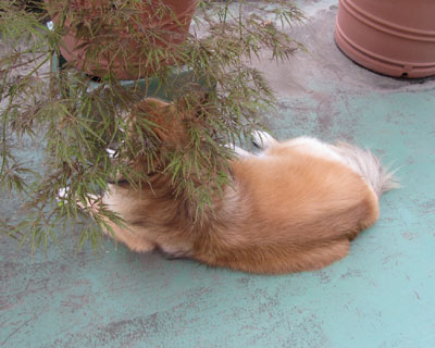 ���H�܂̓��͊֌W�Ȃ��́H