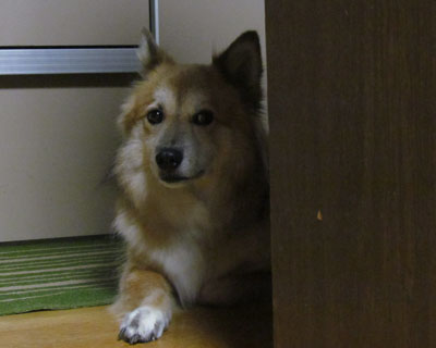 ���N�͔��a���劈��