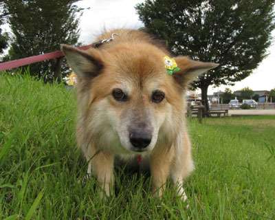 �g�C�����͂Ȃ����Ȃ���ɂȂ�