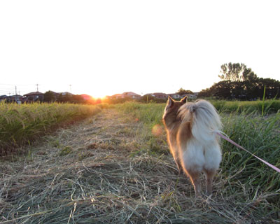 ���Ɉ�肪�n�܂���