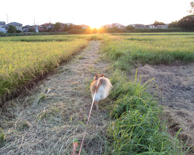 ���ꂵ���đ���o��