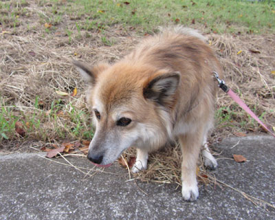 �j�I�C����������`�[��������