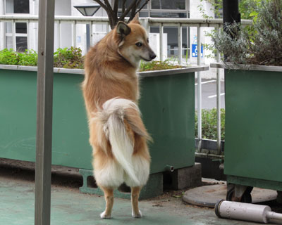 �t���ς�H��